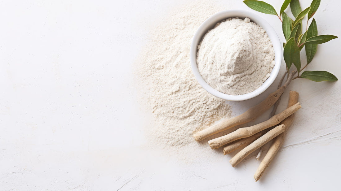 Ashwagandha Root - Ayurvedic Healing Herb