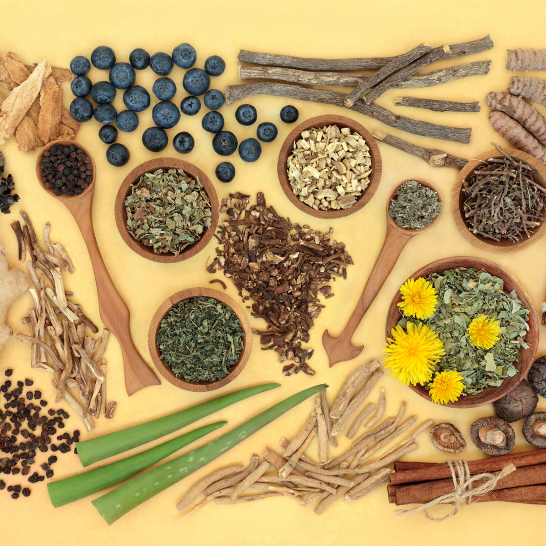 9 Adaptogenic herbs for hormone balance