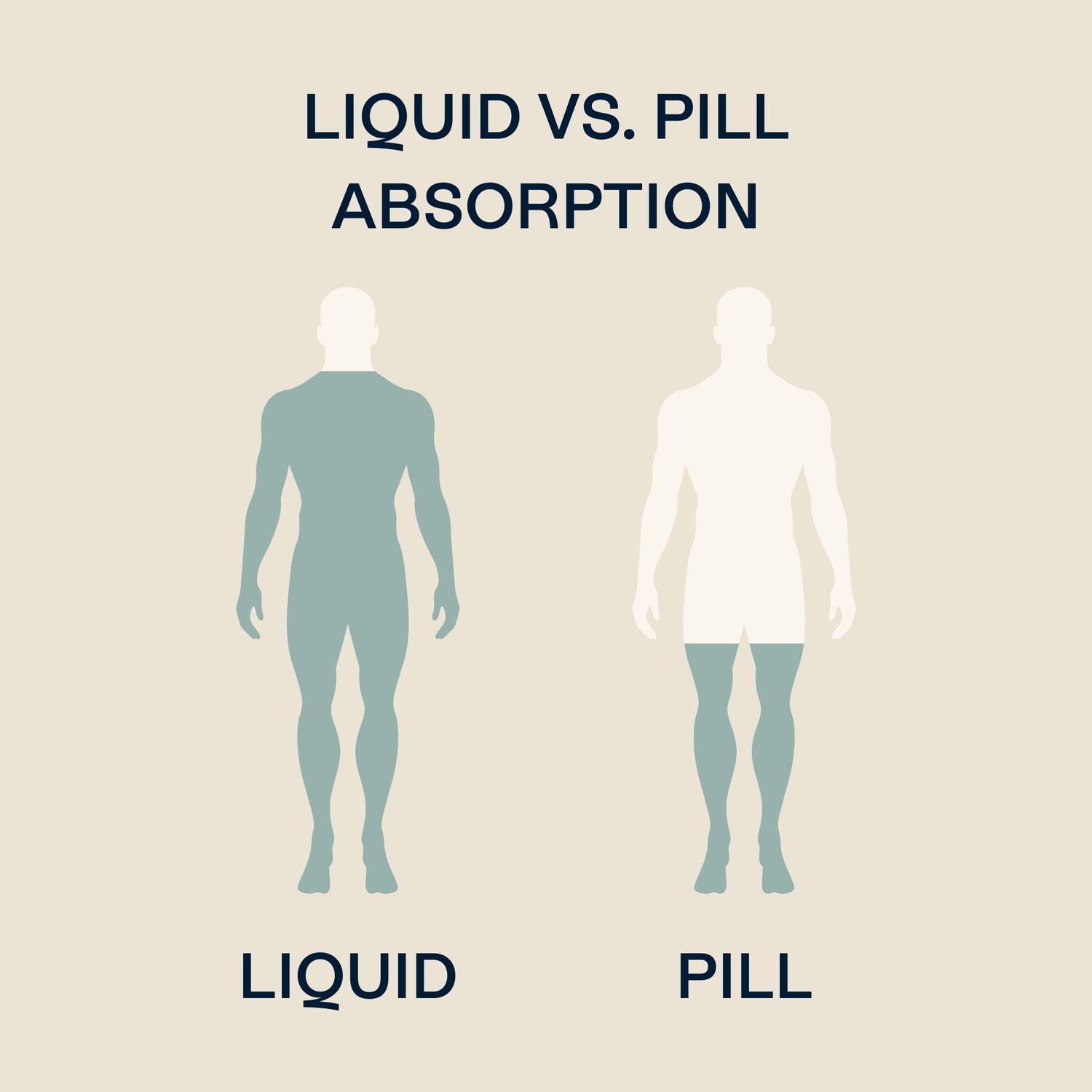 Illustration comparing liquid vitamins and pills, showing that bido liquid vitamins may be absorbed faster and more effectively by the body.