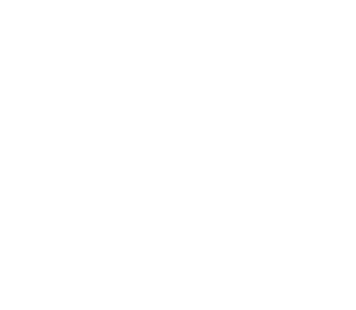 Made in the USA